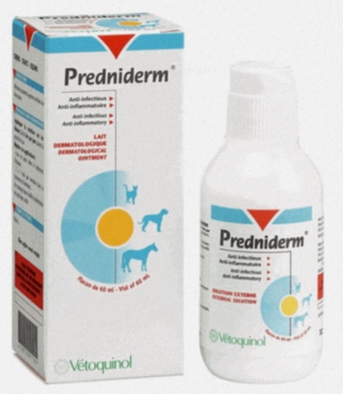 Prednisolone générique – achat en ligne pas cher